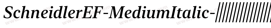 SchneidlerEF-MediumItalic字体转换