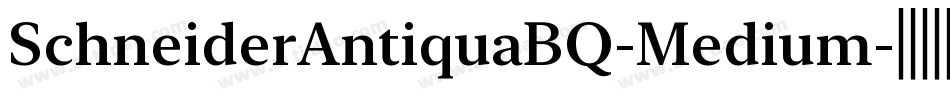 SchneiderAntiquaBQ-Medium字体转换