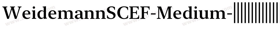 WeidemannSCEF-Medium字体转换