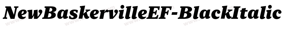 NewBaskervilleEF-BlackItalic字体转换 NewBaskervilleEF-BlackItalic字体转换