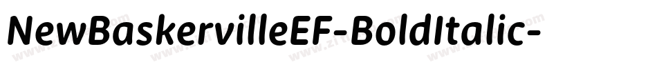 NewBaskervilleEF-BoldItalic字体转换
