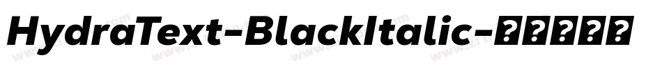 HydraText-BlackItalic字体转换