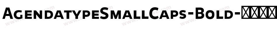 AgendatypeSmallCaps-Bold字体转换 AgendatypeSmallCaps-Bold字体转换