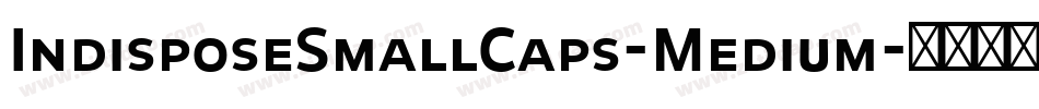 IndisposeSmallCaps-Medium字体转换