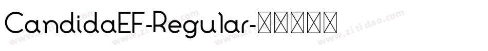 CandidaEF-Regular字体转换