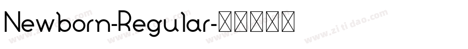 Newborn-Regular字体转换