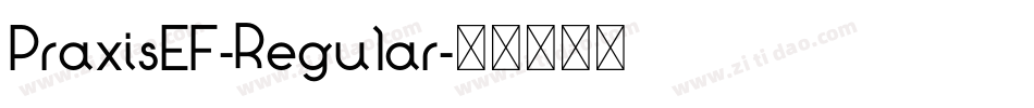 PraxisEF-Regular字体转换