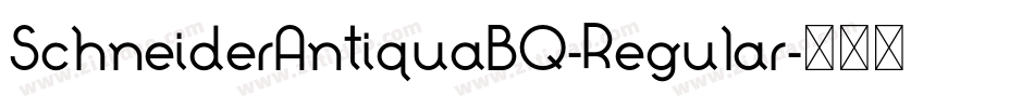 SchneiderAntiquaBQ-Regular字体转换