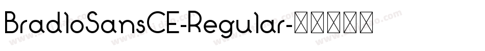 BradloSansCE-Regular字体转换