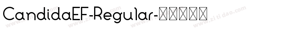 CandidaEF-Regular字体转换