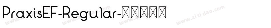 PraxisEF-Regular字体转换