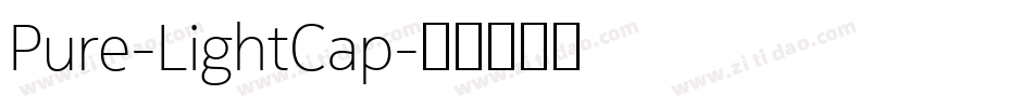 Pure-LightCap字体转换