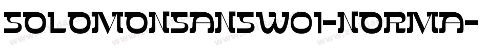 SolomonSansW01-Norma字体转换
