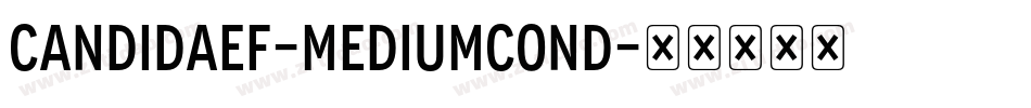 CandidaEF-MediumCond字体转换