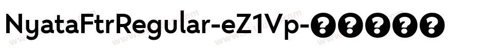 NyataFtrRegular-eZ1Vp字体转换
