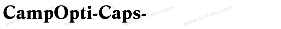 CampOpti-Caps字体转换