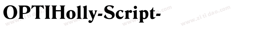OPTIHolly-Script字体转换