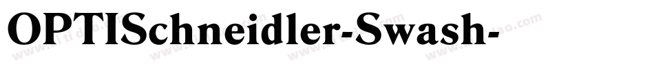 OPTISchneidler-Swash字体转换