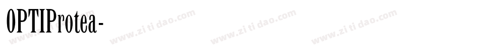 OPTIProtea字体转换