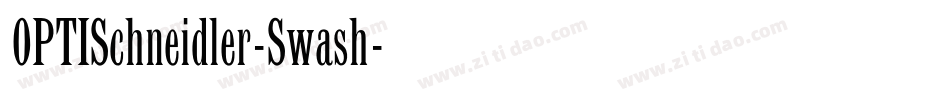 OPTISchneidler-Swash字体转换