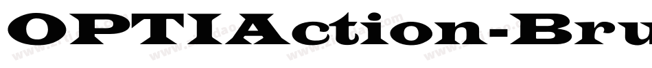 OPTIAction-Brush字体转换