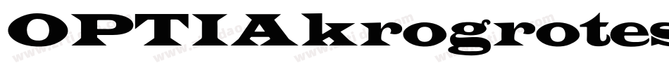 OPTIAkrogrotesk-Italic字体转换
