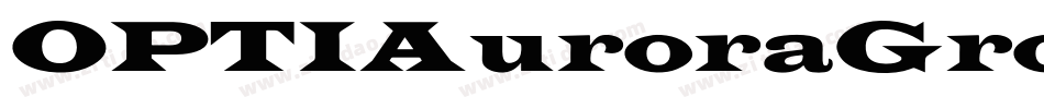 OPTIAuroraGroteskNine字体转换
