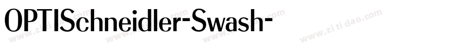 OPTISchneidler-Swash字体转换