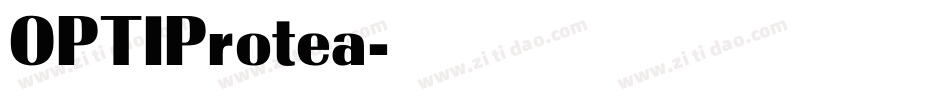 OPTIProtea字体转换