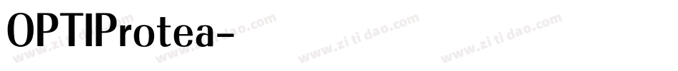 OPTIProtea字体转换