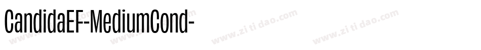 CandidaEF-MediumCond字体转换