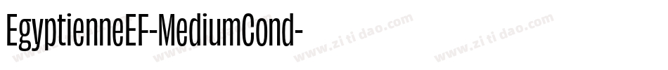 EgyptienneEF-MediumCond字体转换