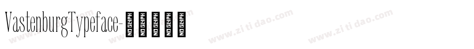 VastenburgTypeface字体转换