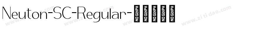 Neuton-SC-Regular字体转换