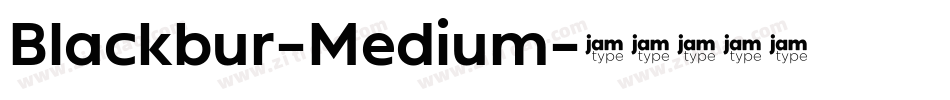 Blackbur-Medium字体转换 Blackbur-Medium字体转换