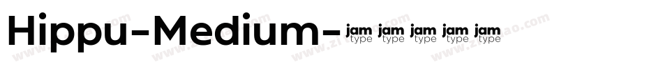 Hippu-Medium字体转换