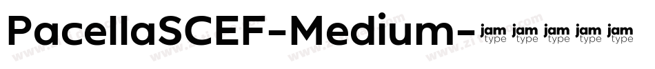 PacellaSCEF-Medium字体转换