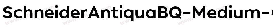 SchneiderAntiquaBQ-Medium字体转换