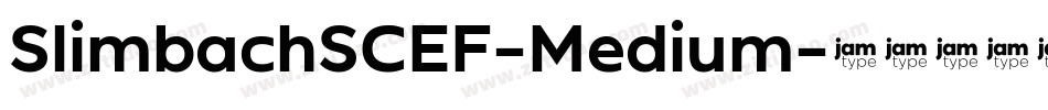 SlimbachSCEF-Medium字体转换