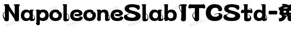 NapoleoneSlabITCStd字体转换