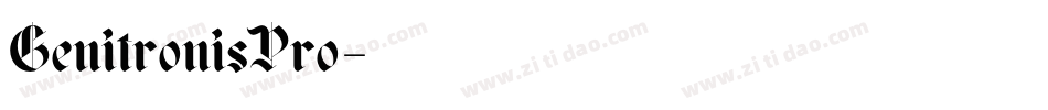 GenitronisPro字体转换
