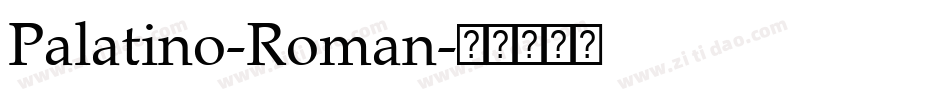 Palatino-Roman字体转换