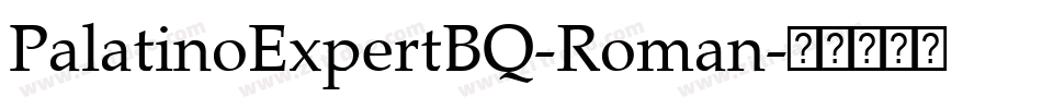 PalatinoExpertBQ-Roman字体转换 PalatinoExpertBQ-Roman字体转换