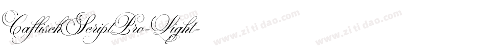 CaflischScriptPro-Light字体转换
