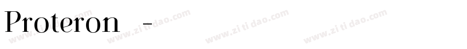 Proteron转换器字体转换