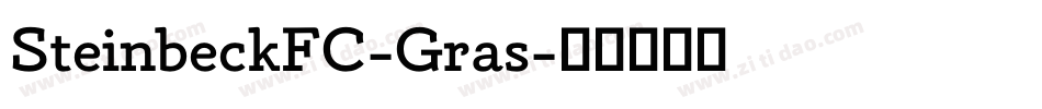 SteinbeckFC-Gras字体转换