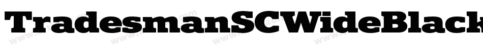 TradesmanSCWideBlack字体转换 TradesmanSCWideBlack字体转换