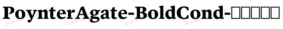 PoynterAgate-BoldCond字体转换