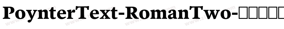 PoynterText-RomanTwo字体转换