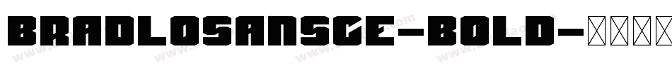 BradloSansCE-Bold字体转换